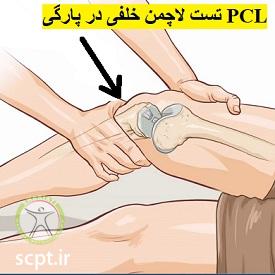 http://scpt.ir/uploads/Lachmans-Test-pcl-tear.jpg