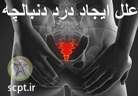 http://scpt.ir/uploads/Tailbone-pain-causes.jpg