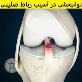 https://scpt.ir/uploads/acl-rehabilitation.jpg