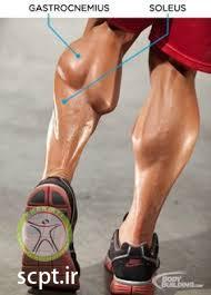 geno varus valgus shariati