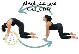 تمرین کشش گربه گاو https://scpt.ir/uploads/cat-cow-strech.jpg