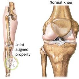 http://scpt.ir/uploads/knee-bones-line-of-gravity.jpg