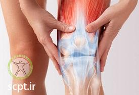 http://scpt.ir/uploads/knee-pain-1.jpg