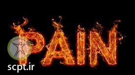 http://scpt.ir/uploads/knee-pain-logo (2).jpg