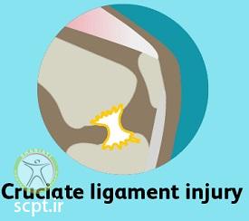 http://scpt.ir/uploads/knee-pain-types-6.jpg