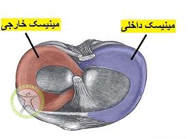 http://scpt.ir/uploads/meniscus-anatomy-2.jpg
