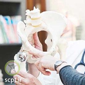 http://scpt.ir/uploads/pelvic-bone-replacement.jpg