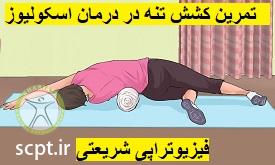 http://scpt.ir/uploads/scoliosis-exercise-1.jpg