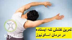 http://scpt.ir/uploads/scoliosis-exercise-4.jpg