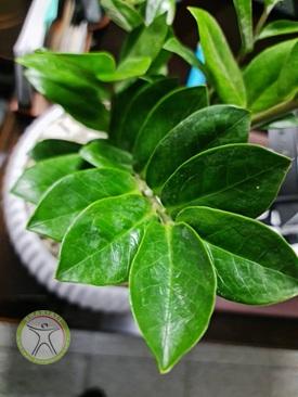 فیزیوتراپی شریعتی https://scpt.ir/uploads/shariati-the-best-pt.jpg