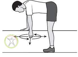 https://scpt.ir/uploads/shoulder-circumduction.jpg