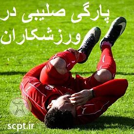 http://scpt.ir/uploads/soccer-acl-tear.jpg