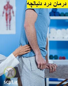 http://scpt.ir/uploads/tailbone-doctor.jpg