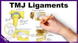http://scpt.ir/uploads/temporomandibular joint anatomy ligaments.jpg