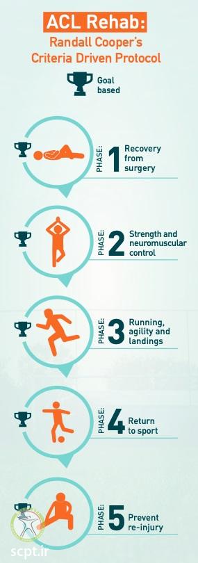 http://scpt.ir/uploads/time-of-healing-acl-tear.jpg